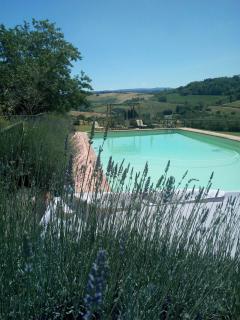 La Casina- Podere della Collina - Collelungo - 8
