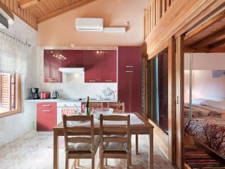 Holiday home with private pool and garden - Polača - 1