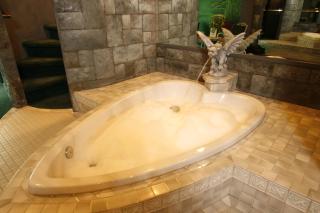Black Swan Inn Luxurious Theme Rooms - Pocatello - 4