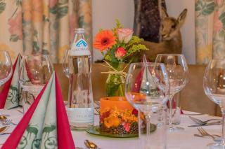Hotel - Pension Ötzmooshof - Sankt Johann im Pongau - 1