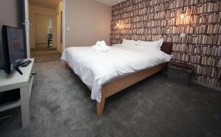 Cozy Apartment close to Cornavin Train Station and lake - 7