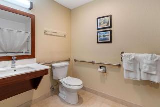 Comfort Inn & Suites South Hill I-85 - South Hill - 4
