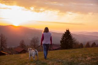 Hunderesort Waldeck - 4 Sterne Urlaub mit Hund - Philippsreut - 9