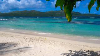 Jasmine La Playita - Ocean Front - Las Galeras - 2