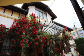 Pension Kokett - Câmpulung - 0