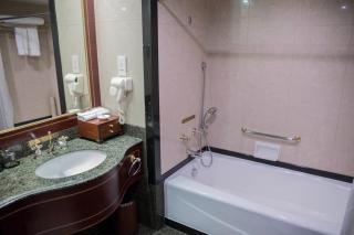 Regal Palace Hotel - Dongguan - 3