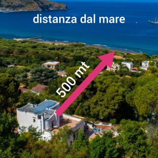 Il Sogno di Vincenzo e Maria - 8