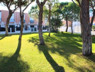 APARTAMENTO EN LA PLAYA DE LA BARROSA - Chiclana de la Frontera - 8
