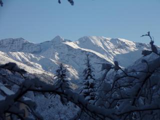 LES PRIMEVERES - Saint-Jean-Saint-Nicolas - 4
