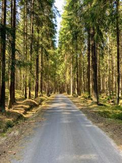 Apartment-Chalet-Chaloupka U Trnků - 5