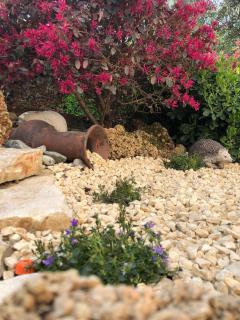 Residenza Airone - 2