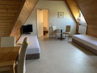 Gästehaus an der Rheinbrücke - Altlußheim - 5