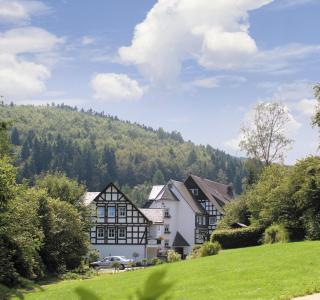 Hotel & Gasthof Hubertushöhe - Ihr Hotel für Urlaub mit Hund - Schmallenberg - 7