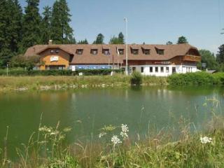 Hotel Karl - Železná Ruda - 0