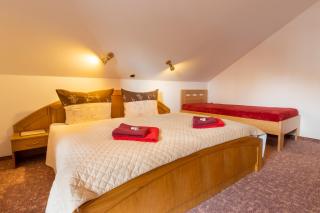 Hotel Karl - Železná Ruda - 8