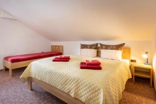 Hotel Karl - Železná Ruda - 3