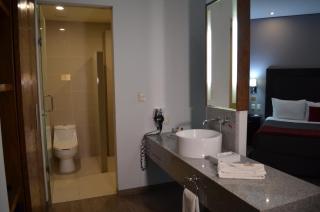 Plaza Camelinas Hotel - Querétaro - 6