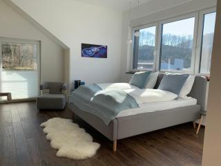 Luxus-Ferienwohnung Saalhausen - Saalhausen - 5