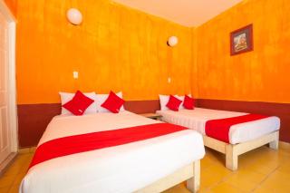 OYO Hotel Meson de la Concepcion - 8