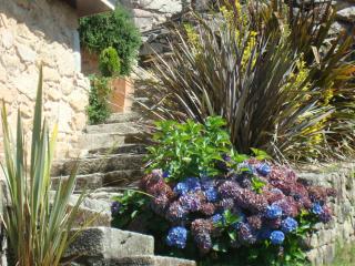 CASA RURAL LAR DE VILARINO - 6