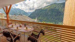 Les 360 - Apt 14 - BO Immobilier - Châtel Multipass Vacances été 2025 en option au tarif de 3euros par jour et par personne - Châtel - 1