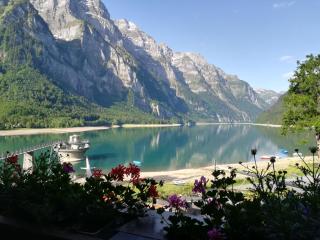 Hotel Rhodannenberg AG - Glarus - 1