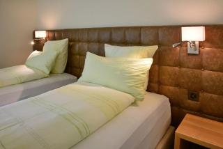 Hotel Rhodannenberg AG - Glarus - 8