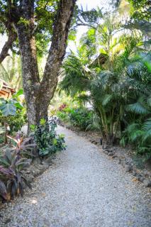 Manala Hotel - Santa Teresa Beach - 2