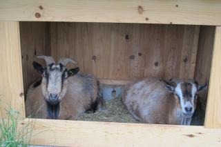 le Corral chambre d'hôte - 6