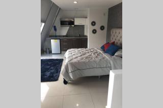 Espectacular Loft en PH Zona Polanco D - Città del Messico - 9
