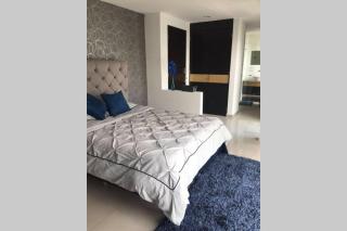 Espectacular Loft en PH Zona Polanco D - Città del Messico - 4