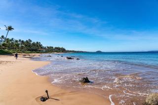 Maui Hill 70 - Renovated, Ocean View, Sleeps 8, AC - Wailea - 7