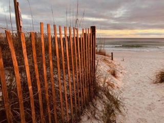 Sugar Beach E7 'Ocean Seven' - Panama City Beach - 6