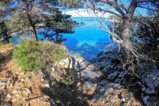 Amaryllis residence, apartment Diana & Deluxe rooms with shared kitchen - Veli Lošinj - 3