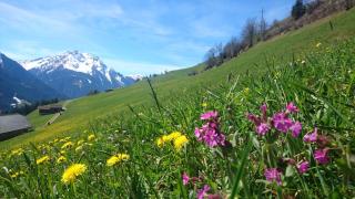 Haus Binder - Ried im Zillertal - 5