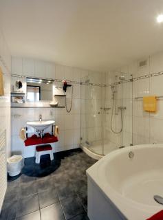Hotel Krone Lenk - Lenk - 8