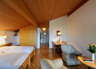 Hotel Krone Lenk - Lenk - 4