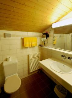 Hotel Krone Lenk - Lenk - 3
