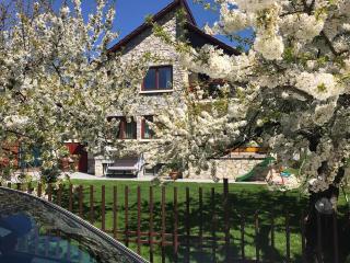 Meggyes Apartman - Balatonalmádi - 8