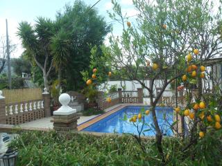 Casa Oasis - Alhaurín de la Torre - 2