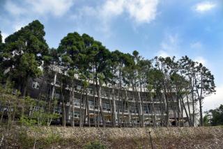 Sun Moon Lake Bamboo Rock Garden - Yuchi - 6