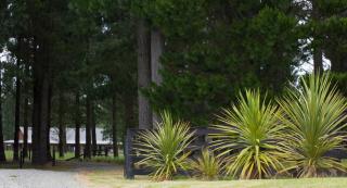 Woodbank Park Cottages - Hanmer Springs - 7
