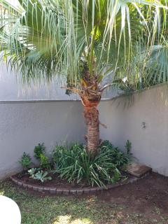 11 Villa Del Sol - Amanzimtoti - 3
