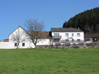 Sabine’s Gästehaus - Übereisenbach - 5