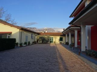 Merlo d'Oro - Carrara - 9