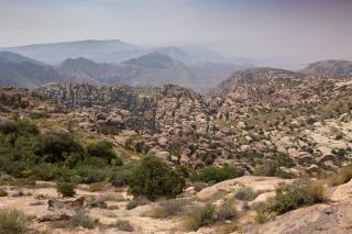 Rummana Campsite - Dana - 9
