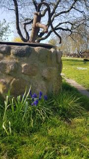 Gemütliche Ferienwohnung unterm Reetdach - Boiensdorf - 3