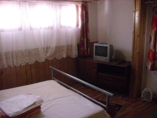 Pensiunea Montan Busteni - Buşteni - 2