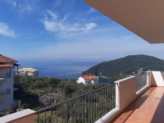 Olive Tree Apartments - Parga - 3