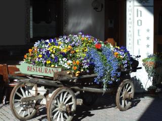Hotel Baita Fiorita - Santa Caterina Valfurva - 8
